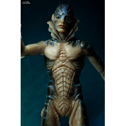 The Shape of Water...