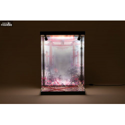 Présentoir vitrine avec...