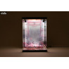 Window display with lighting for Rasethuhime Saki, Inbina M Edition