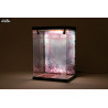 Window display with lighting for Rasethuhime Saki, Inbina M Edition