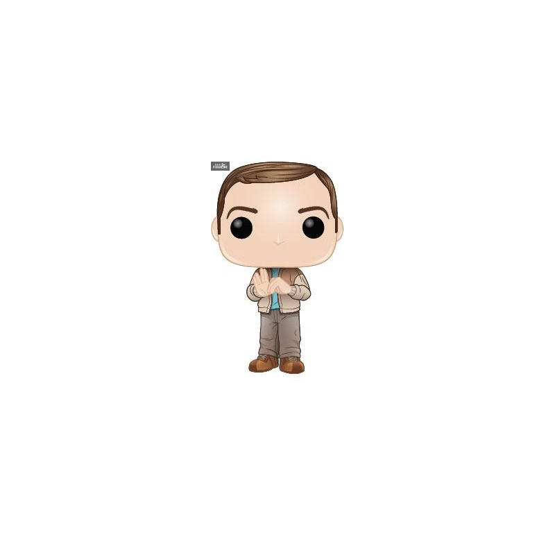 Pop! The Big Bang Theory -...