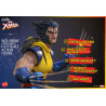 Marvel, X-Men - Wolverine figure (Unmasked)