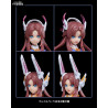 Raider of Shadow - RS-04 Rabbit figure Limited Edition, Plastic Model Kit