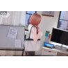 Original Character - OL-chan figure Illustration by Udon