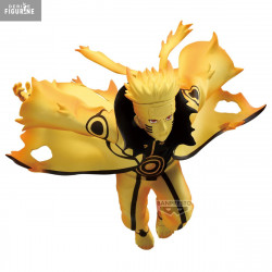 Naruto Shippuden - Figurine...