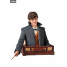Fantastic Beasts 2 - Newt Scamander figure, MAF EX