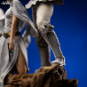Star Wars - Figurine Luke & Leia, Deluxe Art Scale