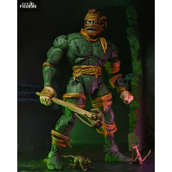 Teenage Mutant Ninja...