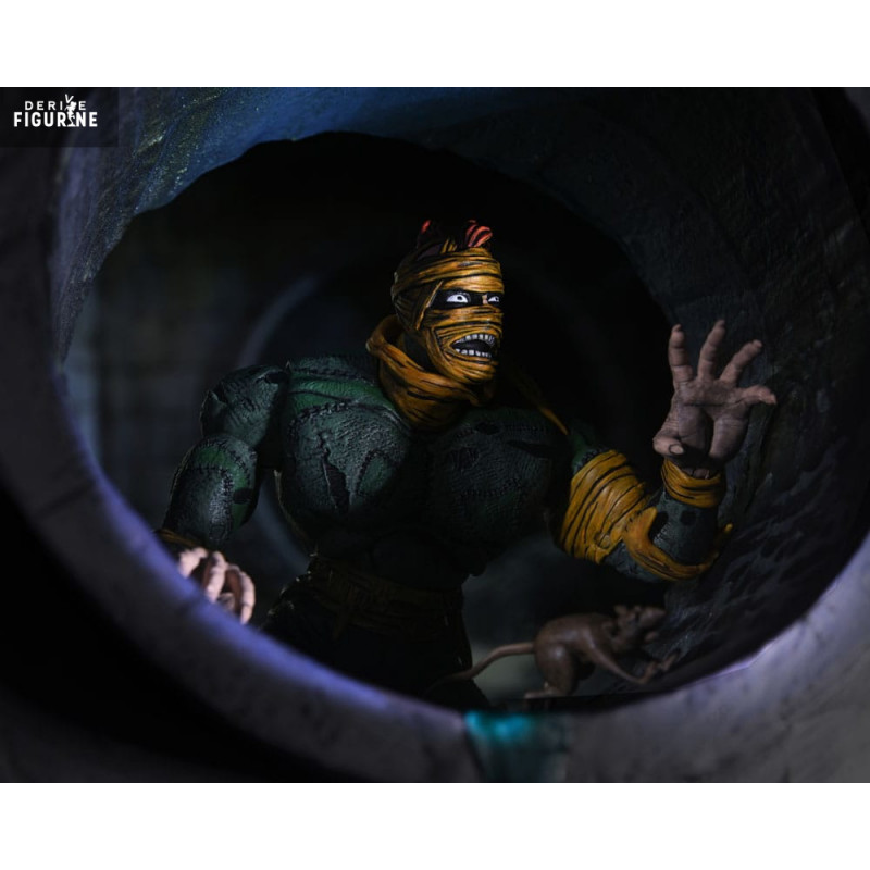 Teenage Mutant Ninja...