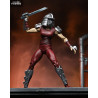 Teenage Mutant Ninja Turtles (Mirage Comics) - Karai (City at War) figure
