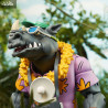 Teenage Mutant Ninja Turtles (Cartoon 1980) - Pack figures Bebop and Rocksteady, Vacation