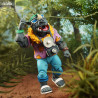 Teenage Mutant Ninja Turtles (Cartoon 1980) - Pack figures Bebop and Rocksteady, Vacation