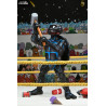 Teenage Mutant Ninja Turtles (Archie Comics) - Pack 4 figures Stump Wrestling Turtles