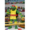 Teenage Mutant Ninja Turtles (Archie Comics) - Pack 4 figures Stump Wrestling Turtles