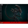 Alien: Romulus - Scorched Xenomorph figure, Movie Masterpiece