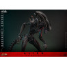Alien: Romulus - Scorched Xenomorph figure, Movie Masterpiece