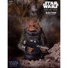 Star Wars Rogue One - Buste Jyn Erso (Seal commander) ou Bistan