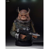 Star Wars Rogue One - Buste Jyn Erso (Seal commander) ou Bistan