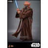 Star Wars - Plo Koon figure, Movie Masterpiece