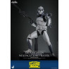 Star Wars: The Clone Wars - 104th Battalion Wolfpack Clone Trooper figure, Deluxe