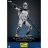 Star Wars: The Clone Wars - 104th Battalion Wolfpack Clone Trooper figure, Deluxe