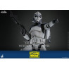 Star Wars: The Clone Wars - 104th Battalion Wolfpack Clone Trooper figure, Deluxe
