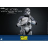 Star Wars: The Clone Wars - 104th Battalion Wolfpack Clone Trooper figure, Deluxe
