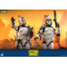 Star Wars: The Clone Wars - 104th Battalion Wolfpack Clone Trooper figure, Deluxe