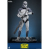 Star Wars: The Clone Wars - 104th Battalion Wolfpack Clone Trooper figure