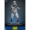 Star Wars: The Clone Wars - 104th Battalion Wolfpack Clone Trooper figure