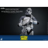 Star Wars: The Clone Wars - 104th Battalion Wolfpack Clone Trooper figure