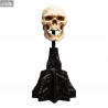 Le Seigneur des Anneaux - Réplique Skull of a Mordor Orc