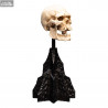 The Lord of the Rings - Skull of a Mordor Orc replica