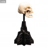 Le Seigneur des Anneaux - Réplique Skull of a Mordor Orc