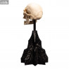 Le Seigneur des Anneaux - Réplique Skull of a Mordor Orc