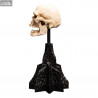 The Lord of the Rings - Skull of a Mordor Orc replica