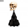 The Lord of the Rings - Skull of a Mordor Orc replica