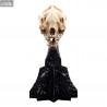 The Lord of the Rings - Skull of a Warg replica