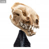 The Lord of the Rings - Skull of a Warg replica