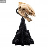The Lord of the Rings - Skull of a Warg replica