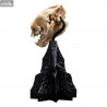 The Lord of the Rings - Skull of a Warg replica