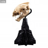 The Lord of the Rings - Skull of a Warg replica