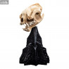 Le Seigneur des Anneaux - Réplique Skull of a Warg