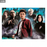 Harry Potter - Puzzle Harry vs. the Dark Arts