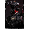 Special Warfare Ming Dynasty Extreme Zone - Figurine Jinyiwei