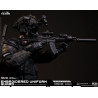 Special Warfare Ming Dynasty Extreme Zone - Figurine Jinyiwei