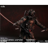 Special Warfare Ming Dynasty Extreme Zone - Figurine Jinyiwei