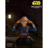 Star Wars Episode VII - Maz Kanata, Kylo Ren or Finn bust