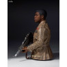 Star Wars Episode VII - Maz Kanata, Kylo Ren or Finn bust