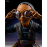 Star Wars Episode VII - Maz Kanata, Kylo Ren or Finn bust